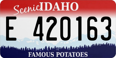 ID license plate E420163