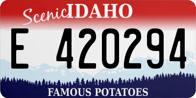 ID license plate E420294