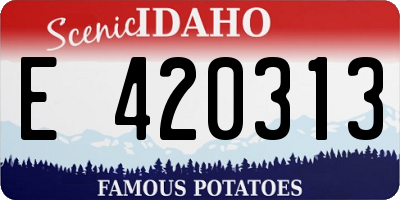 ID license plate E420313