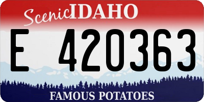ID license plate E420363