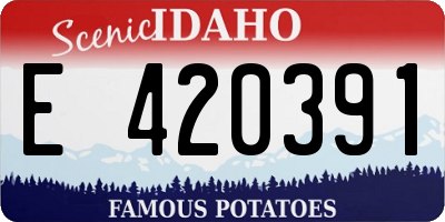 ID license plate E420391