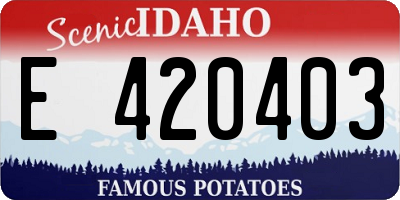 ID license plate E420403