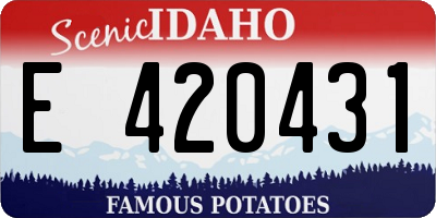 ID license plate E420431