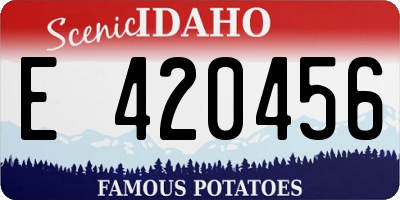 ID license plate E420456
