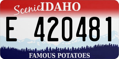 ID license plate E420481