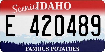 ID license plate E420489