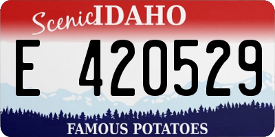 ID license plate E420529