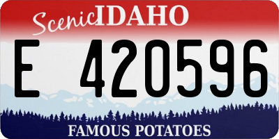 ID license plate E420596