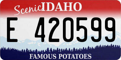 ID license plate E420599