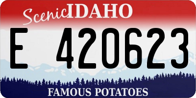 ID license plate E420623
