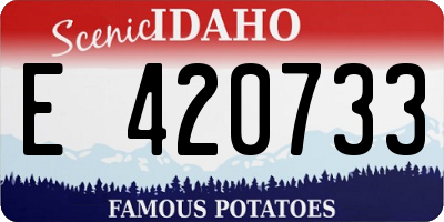 ID license plate E420733