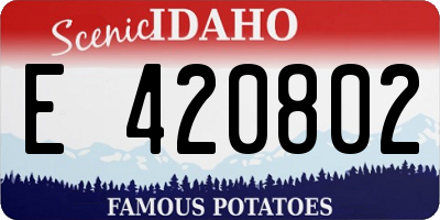 ID license plate E420802