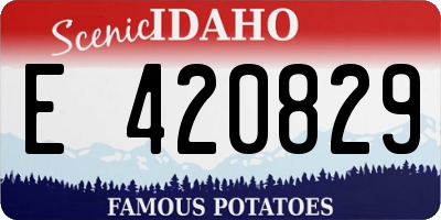ID license plate E420829