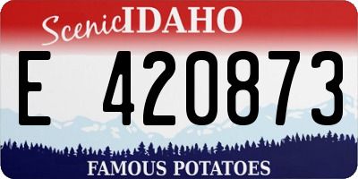 ID license plate E420873