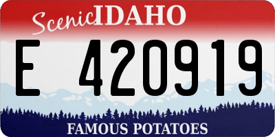 ID license plate E420919