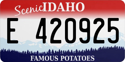 ID license plate E420925