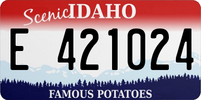 ID license plate E421024