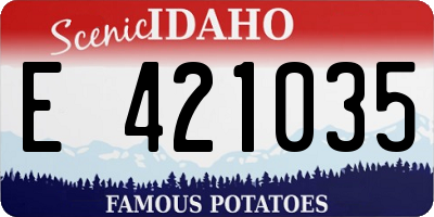 ID license plate E421035
