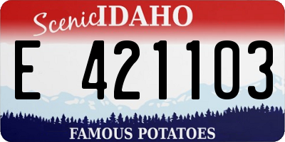ID license plate E421103