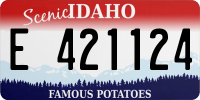 ID license plate E421124