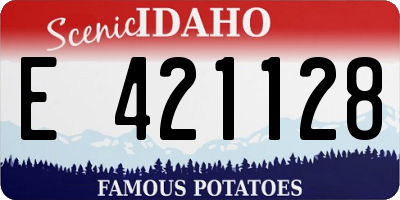 ID license plate E421128