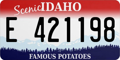 ID license plate E421198