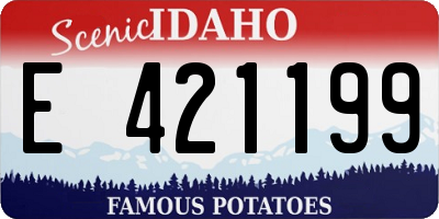 ID license plate E421199