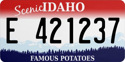 ID license plate E421237
