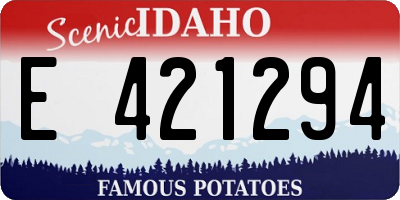 ID license plate E421294