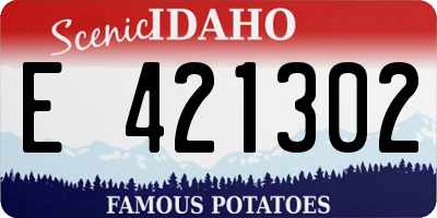 ID license plate E421302