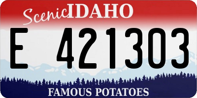 ID license plate E421303