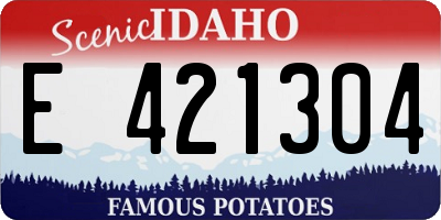 ID license plate E421304