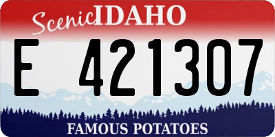 ID license plate E421307