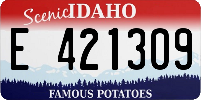ID license plate E421309