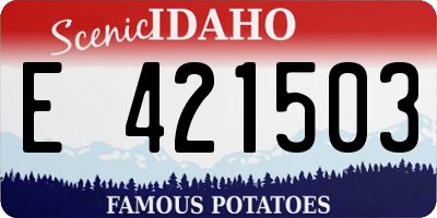 ID license plate E421503