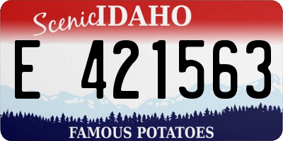 ID license plate E421563
