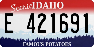 ID license plate E421691