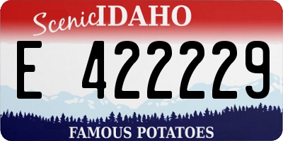 ID license plate E422229