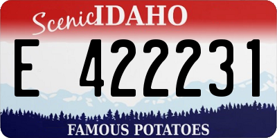ID license plate E422231