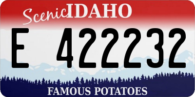 ID license plate E422232