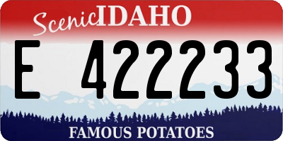 ID license plate E422233