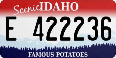 ID license plate E422236