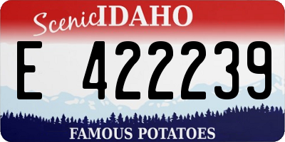 ID license plate E422239