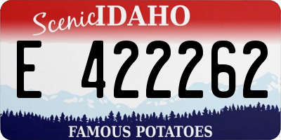 ID license plate E422262