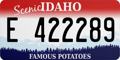 ID license plate E422289
