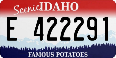 ID license plate E422291