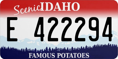 ID license plate E422294