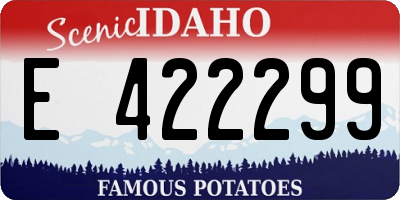 ID license plate E422299