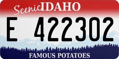 ID license plate E422302
