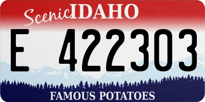 ID license plate E422303